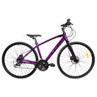 Odyssey Sport 1 Violet Foncé - Noir / 16” - 41 cm