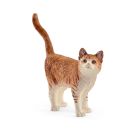 Chat