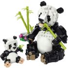 Les animaux sauvages : la famille de pandas