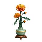 Le chrysanthème