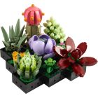 Les succulentes