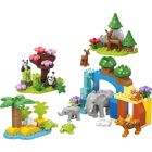 Familles d’animaux sauvages 3-en-1