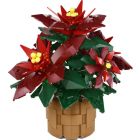 Le poinsettia