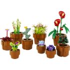 Les petites plantes
