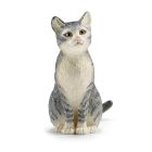 Chat assis